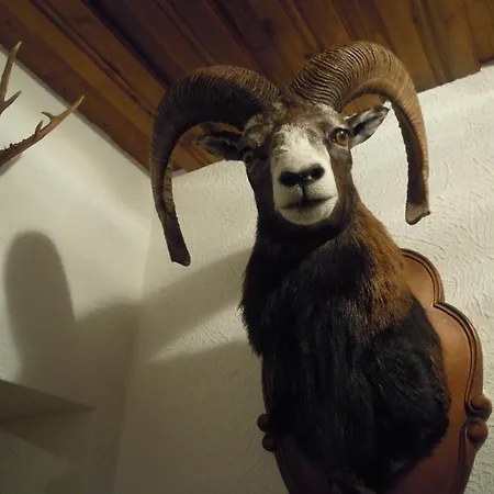 Herzoggut Alojamento de Acomodação e Pequeno-almoço Zell am See