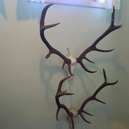 ベッド・アンド・ブレックファスト Herzoggut 3*