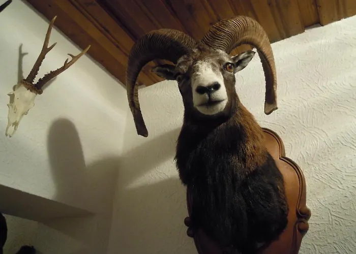 Herzoggut Bed and breakfast Zell am See