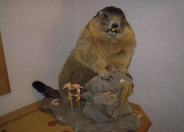 بنسيون هيرتزوغوت