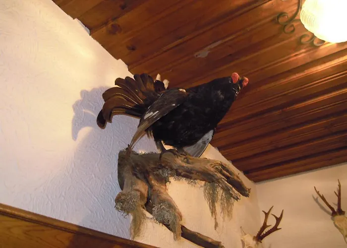 ベッド・アンド・ブレックファスト Herzoggut ツェル アム ゼー